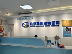 -北京观赏动物医院·24小时大型综合·猫专科·异宠专科