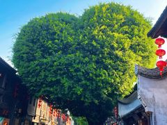 -三坊七巷历史文化街区