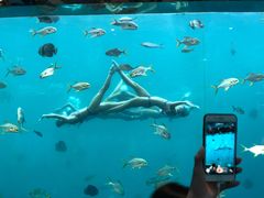 -瑞德姆美人鱼海底演艺主题餐厅(亚龙湾店)