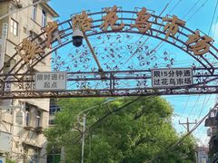 -溪岸路花鸟市场
