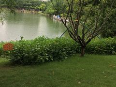 -广州绿地中央广场