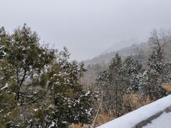 -阳台山自然风景区