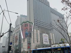 -乐天免税店(明洞店)