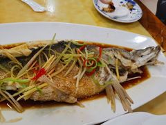 -布尔津河堤夜市