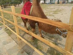 -红栌温泉山庄生态美食餐厅