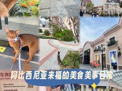 -斯普瑞斯奥特莱斯