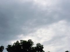 -三哥田螺(北书院街店)