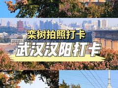 -龟山风景区-龟山电视塔