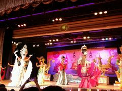 -金东尼人妖秀