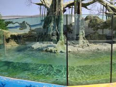 -秦皇岛乐岛海洋王国