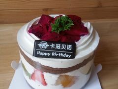 澳洲优乳蛋糕-卡滋贝诺动物奶油生日蛋糕(亚太潮尚店)