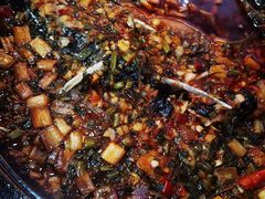 -院8里·小聚园老川菜(九眼桥店)