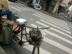 -海珠儿童公园