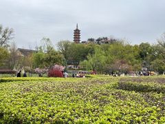 -仓山金山寺
