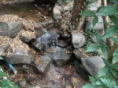 -火炉山森林公园
