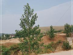 -恋山坝上草原