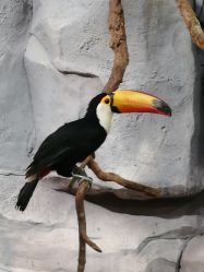 点击看大图 -Zoolung Zoolung动物主题公园(海信广场店)