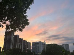 -深圳龙潭公园
