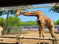 -大连森林动物园