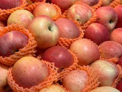 -世纪联华超市(凤起店)