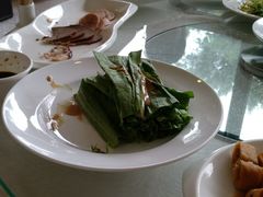 -顺鑫绿色度假村