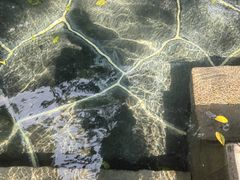 -和顺柏联温泉