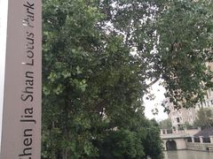 -陈家山荷花公园