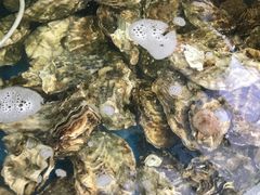 -晓伟海鲜家常菜
