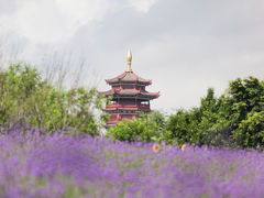 -厦门园林博览苑