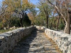 -阳台山自然风景区