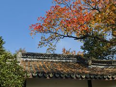 -上海佘山国家森林公园天马山园