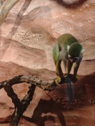 -Zoolung Zoolung动物主题公园(海信广场店)