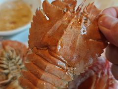-九月海·海鲜自助(世纪东方店)