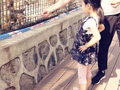 -南京金牛湖风景区