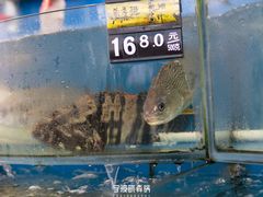 -渔中舟海鲜大排档(普陀沈家门店)