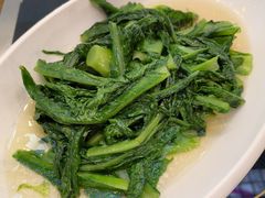 太湖油麦菜-盒马鲜生(昆城店)