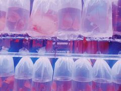 -华声天桥民俗文化园