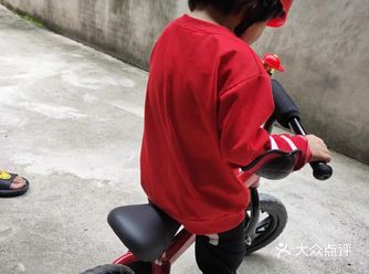 宝宝们很喜欢的平衡车，人家很高的运动