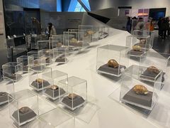 -北京周口店北京人遗址博物馆