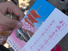 -有栖山 清光院 清水寺