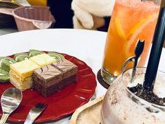 -滚猫咖啡·猫咖·猫友好撸猫(未来城店)