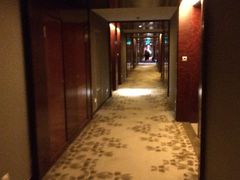 picture-常州环球恐龙城维景国际大酒店