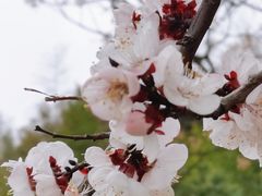 -南北湖风景区