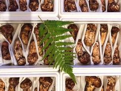 -麦园农庄·西江河鲜