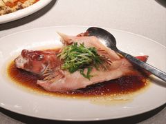 东星斑-逸道(益丰·外滩源店)