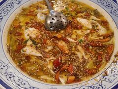 -新蜀会四川豆花(五羊店)