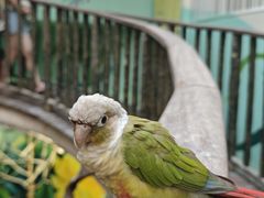 -正佳雨林生态植物园