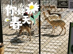 -北京麋鹿生态实验中心