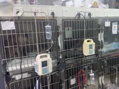 -达爱动物医院·犬猫分区·CT·复杂眼科(远洋山水分院)