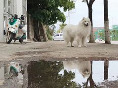 -收获咖啡HARVEST RESERVE(苍山店)